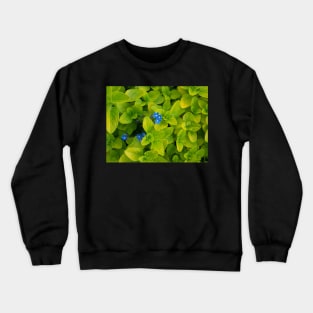 Mint and Forget-Me-Nots Crewneck Sweatshirt